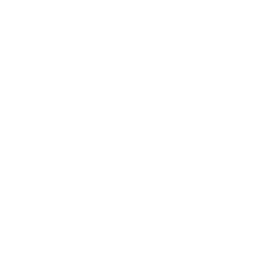 Content Creation - Organic Marketing